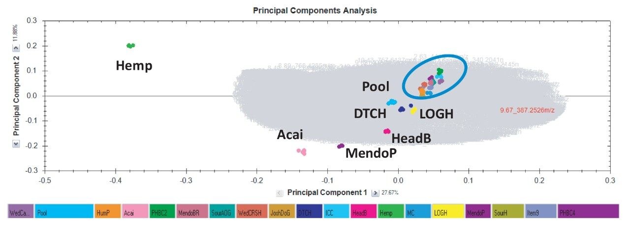 PCA plot for the UPLC-MS analysis of cannabis cultivars including hemp.
