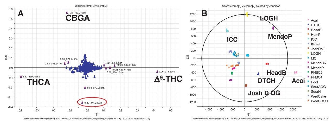 Loadings (A) and scores (B) plot.