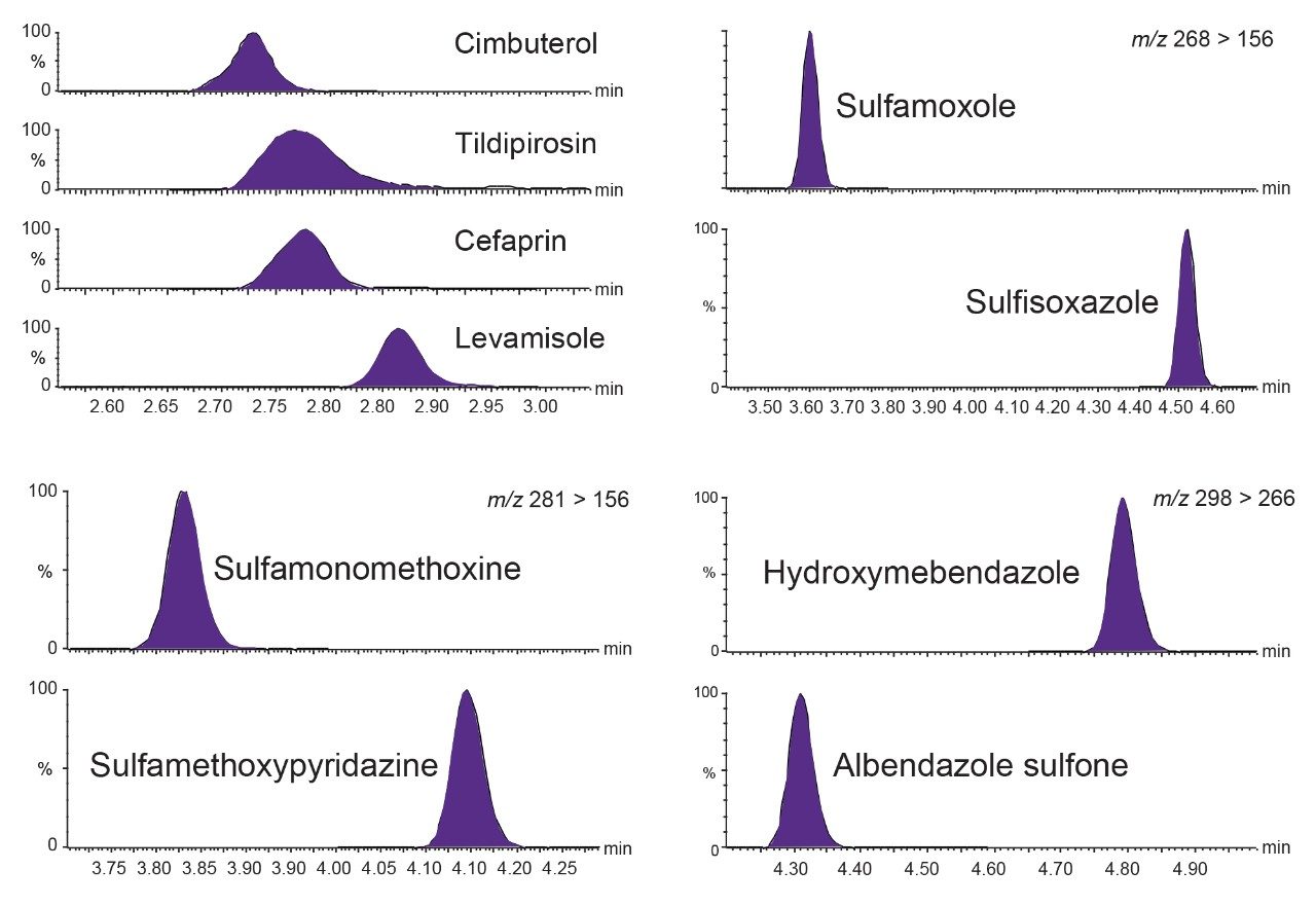 Eine Auswahl von Chromatogrammen aus der Analyse eines auf die Matrix abgestimmten Standards in Rindermuskelextrakt bei 10 µg/kg zeigt die Retention einiger polarer Verbindungen und die Trennung isobarer Verbindungen