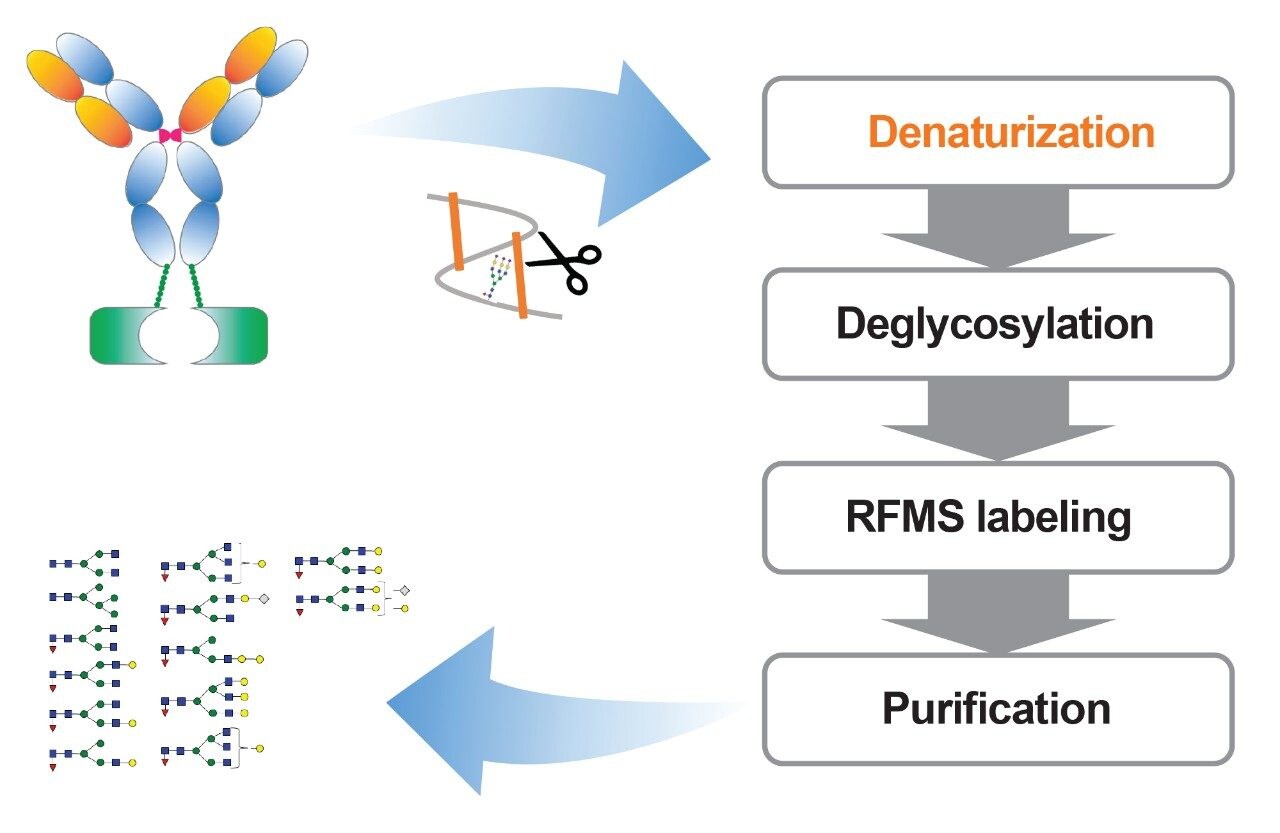 The optimized sample preparation workflow 