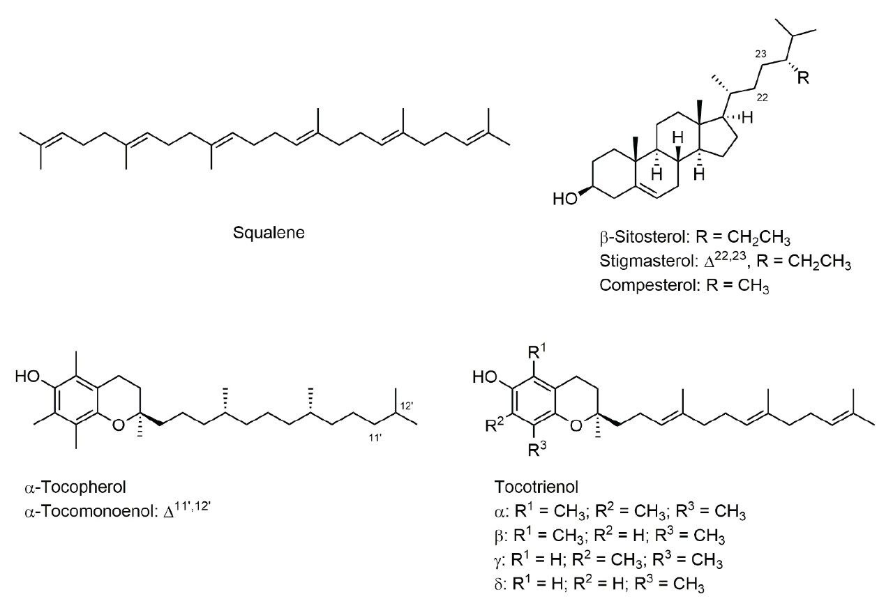 10 common phytonutrients in pam oil