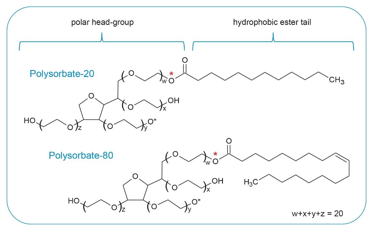 Quantitative Analysis of Polysorbate 20/80 in ProteinBased