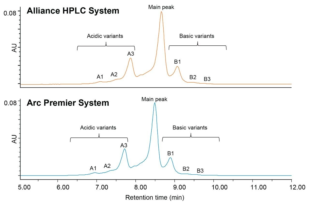 IEX method migration of trastuzumab.