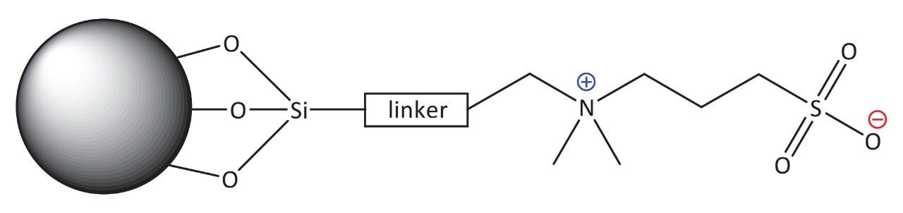 Structure of the sulfobetaine stationary phase for Atlantis BEH Z-HILIC