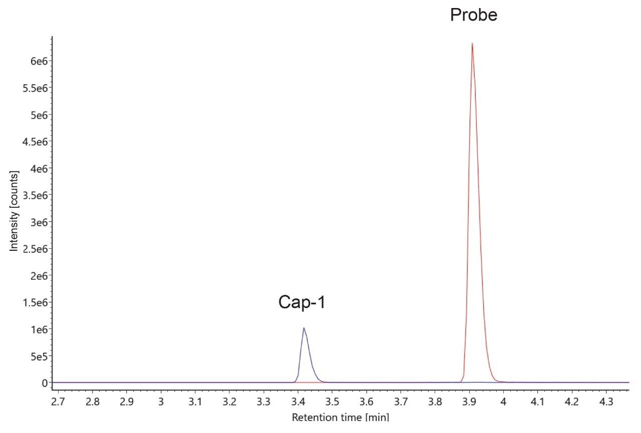 Overlaid XICs of Cap-1 and a representative probe from an equimolar solution using an ACQUITY Premier Oligonucleotide BEH C18, 1.7 μm, 2.1 x 50 mm Column.