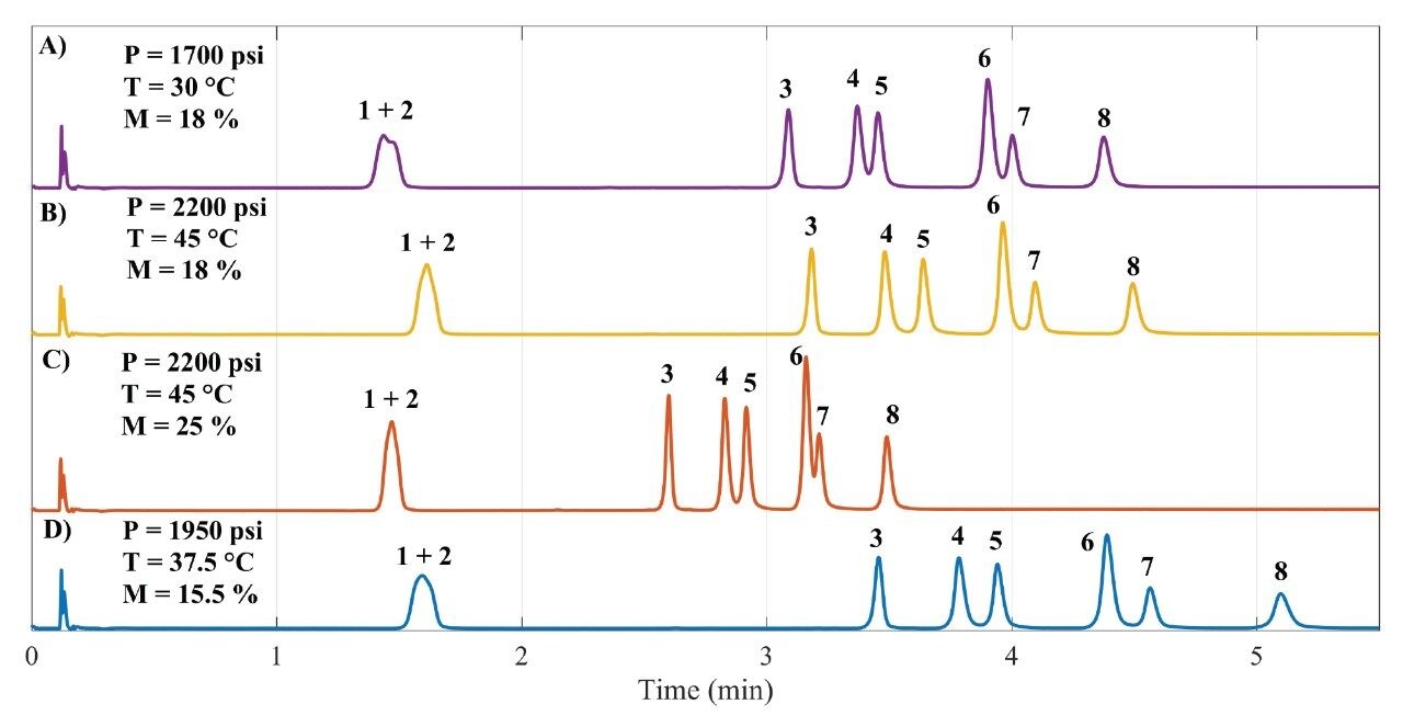 Illustrative chromatograms obtained from the Central Composite Design