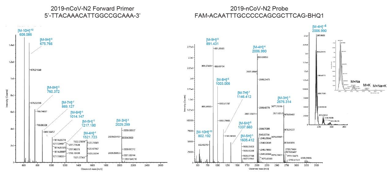 Mass spectra obtained from IP-RPLC.