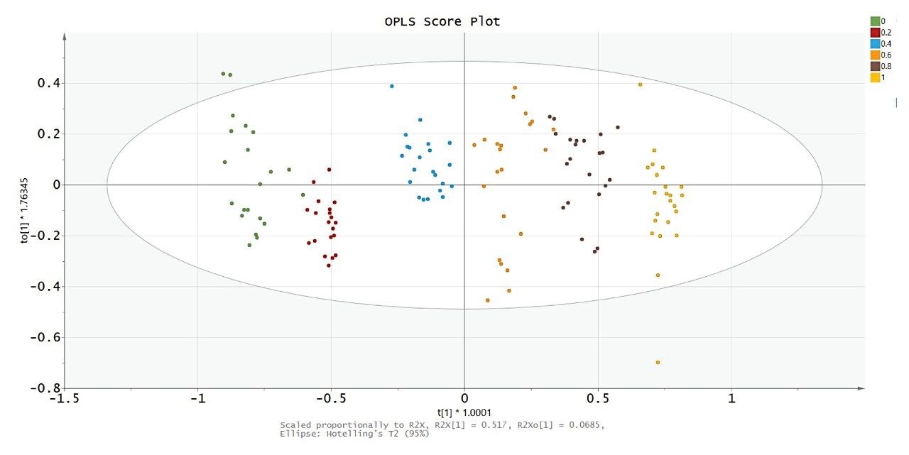  OPLS score plot.