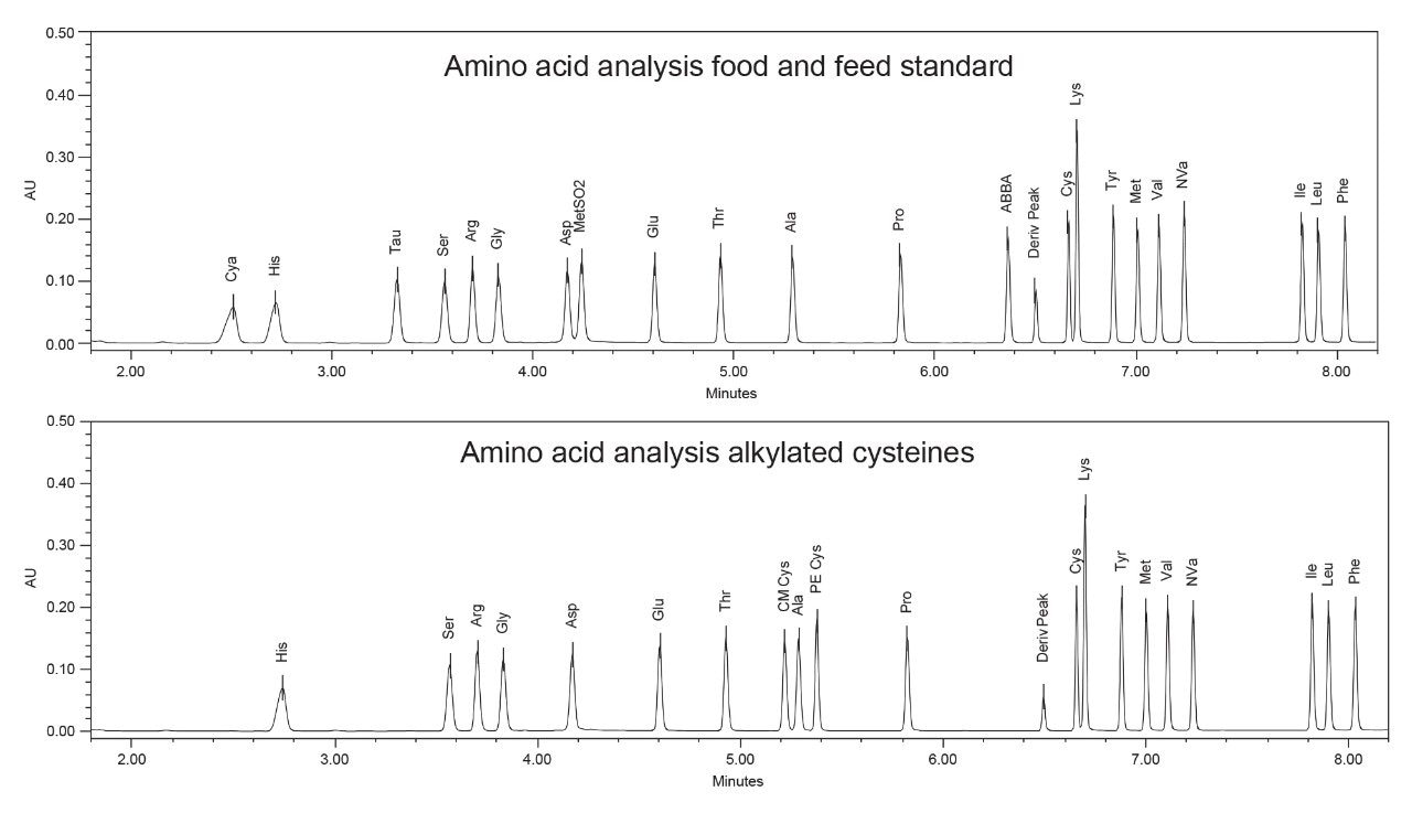 Representative chromatograms for the amino acid analysis.