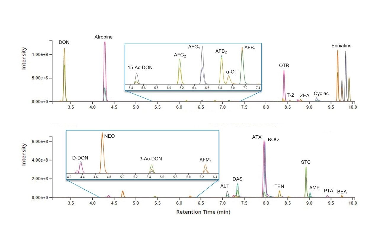 Chromatograms of the tested mycotoxins and tropane alkaloids in two different spiked cereal samples. Each peak is characterized by a quantifier and a qualifier ion trace. 
