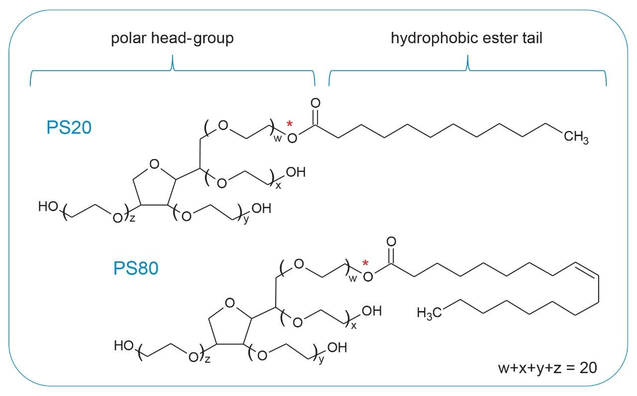 Structure of polysorbate