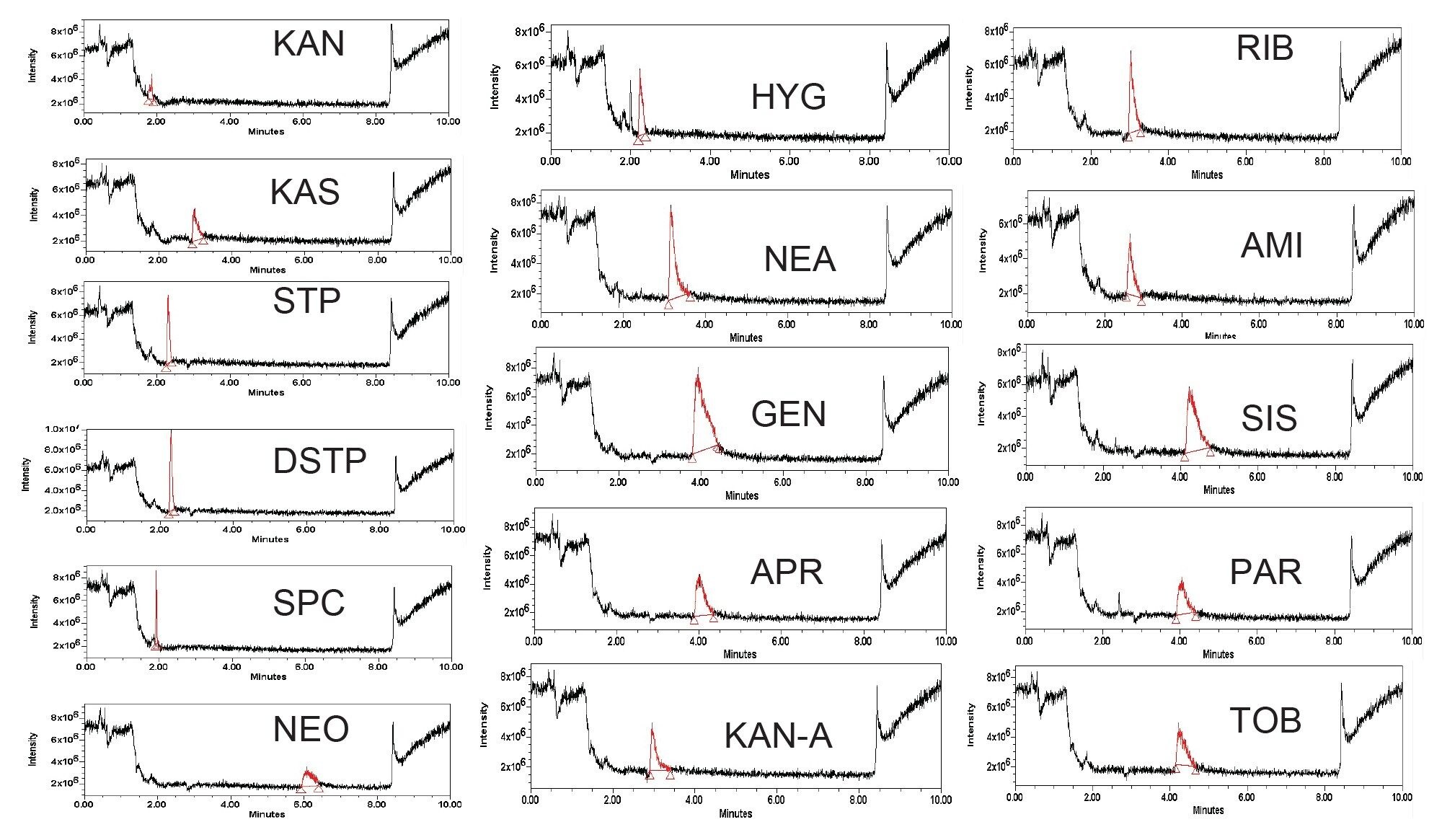 Simultaneous Separation and Quantification of Aminoglycosides Using Liquid Chromatography and