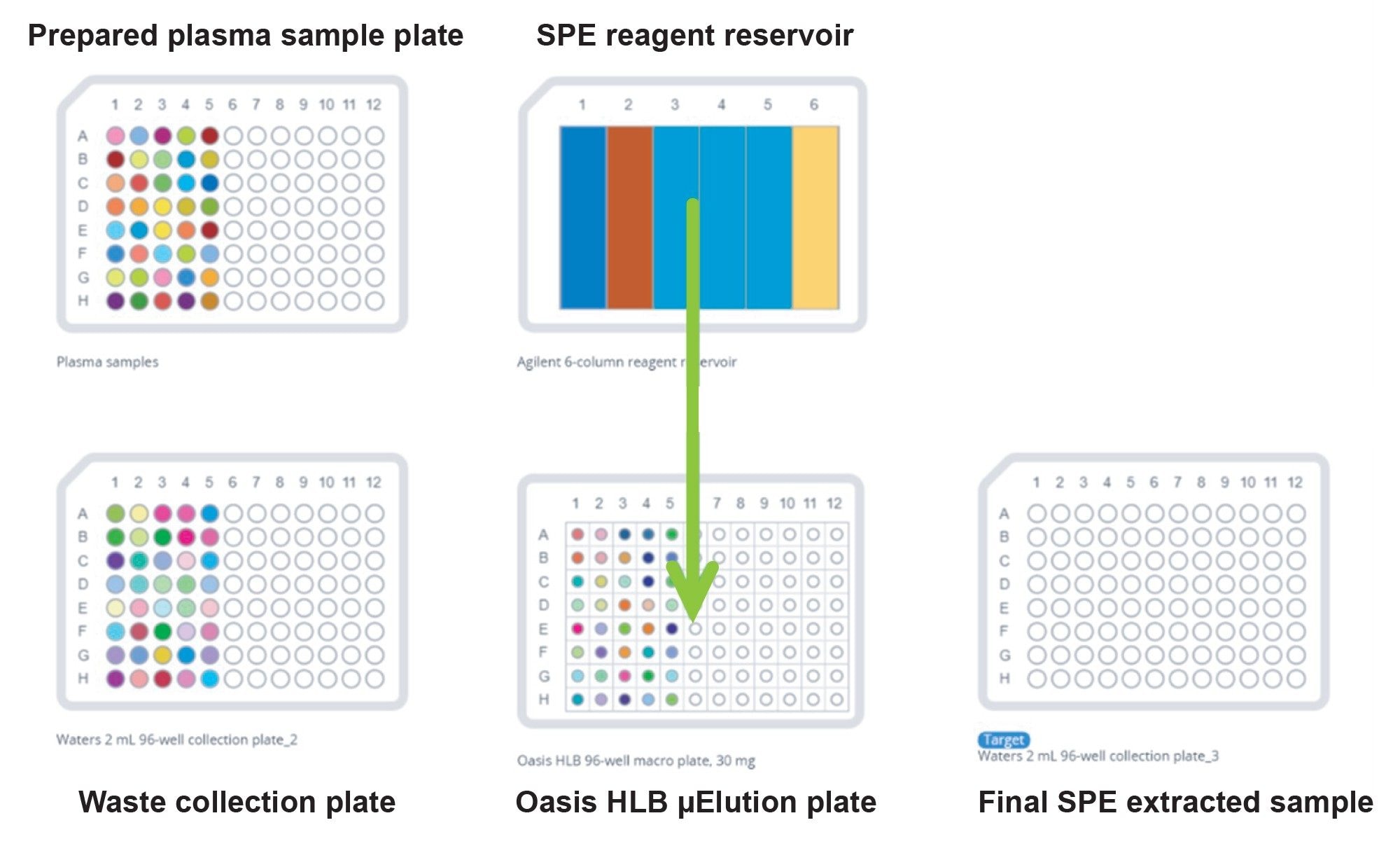 Graphical representation of OneLab Automated Bioanalytical SPE method