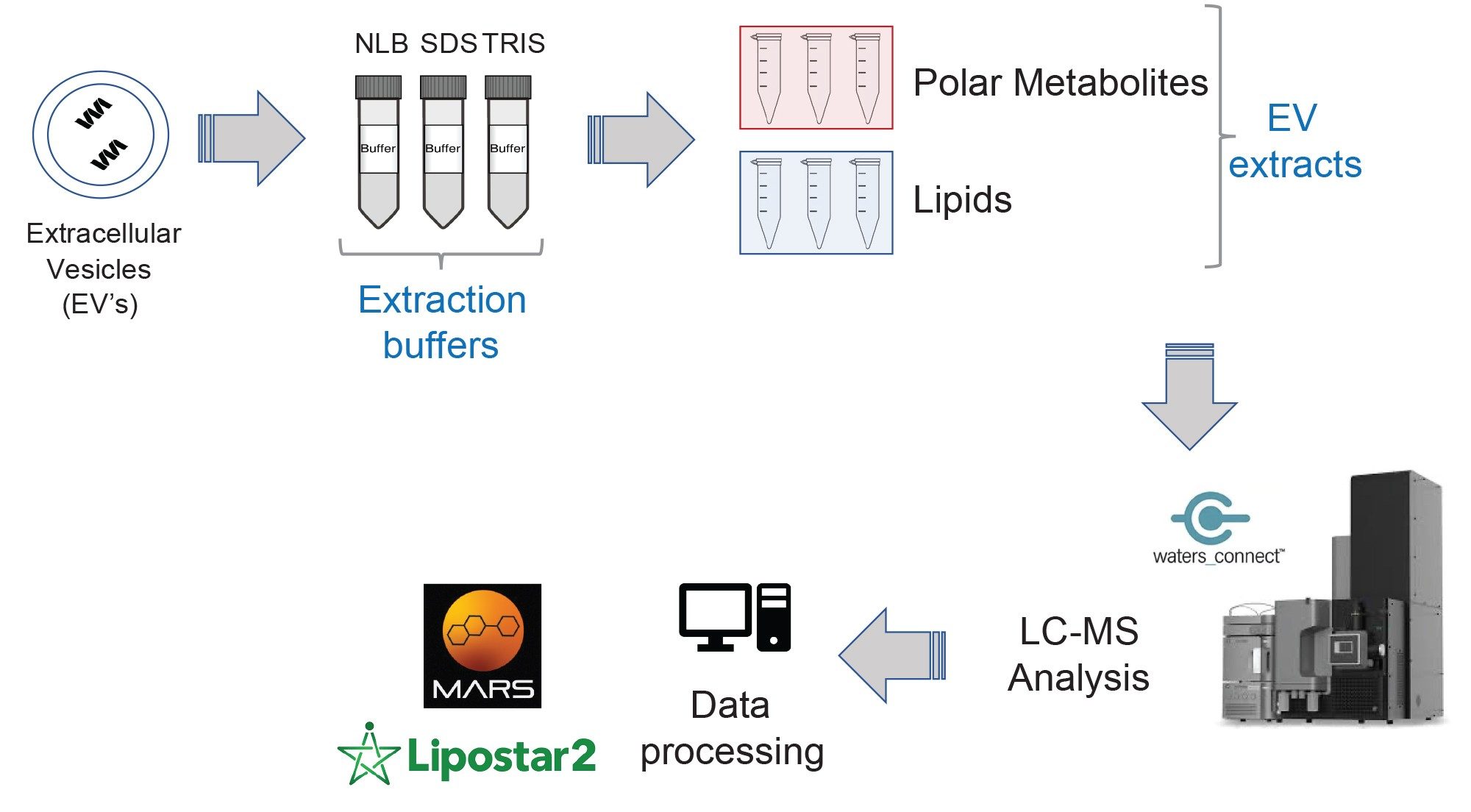 Experimental workflow outlining the LC-MS analysis of the EV extracts and subsequent data processing