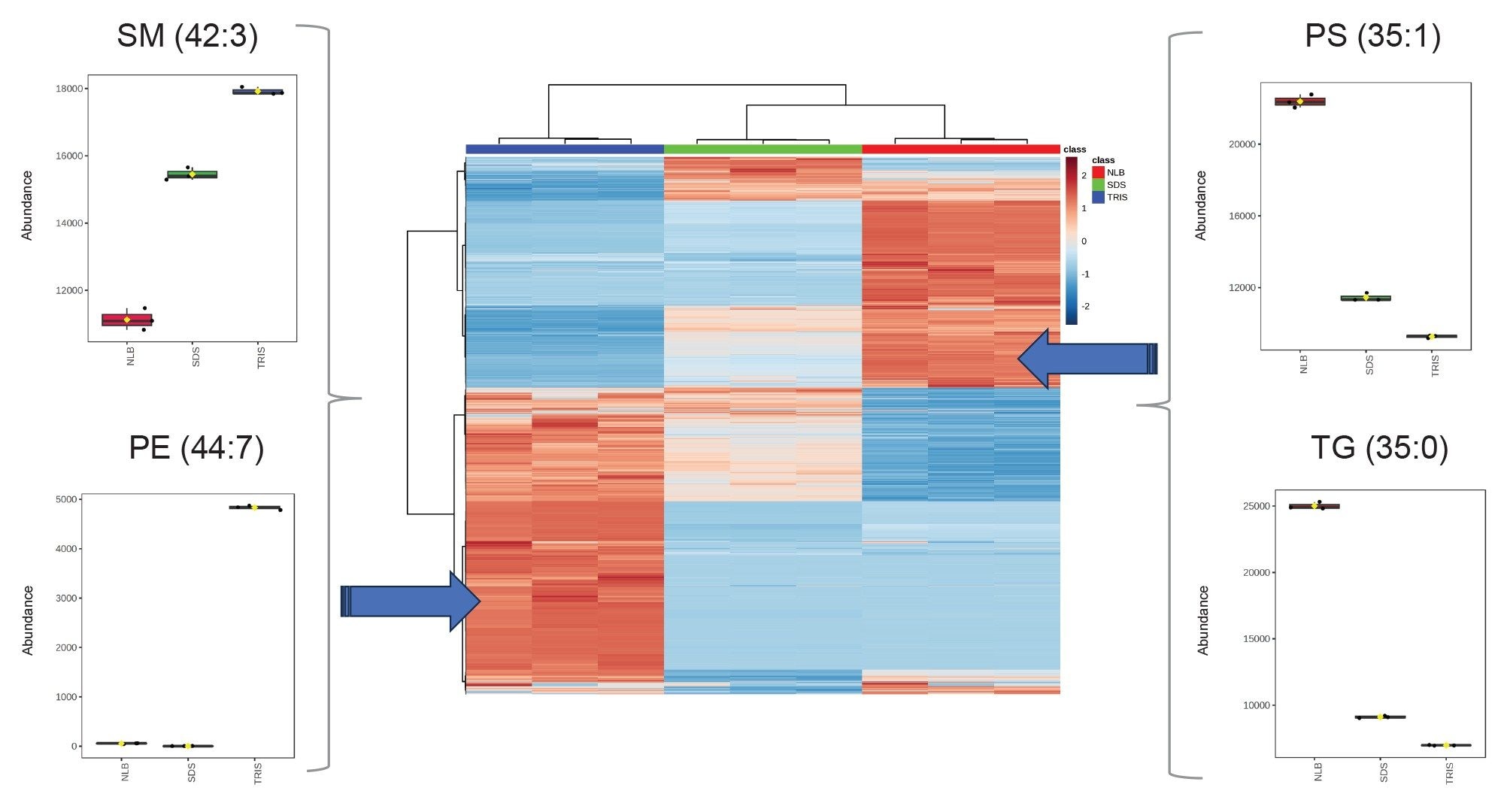 Lipidomic (ESI+) overview: Heatmap (central) provides a comparison of the lipid abundances across the three extraction conditions for the most statistically relevant lipids, based on hierarchical clustering (Ward method) and Euclidean-based distance measure. Box-whisker plots provide normalized abundance profiles for representative lipids which are most abundant for the NLB and tris buffer conditions