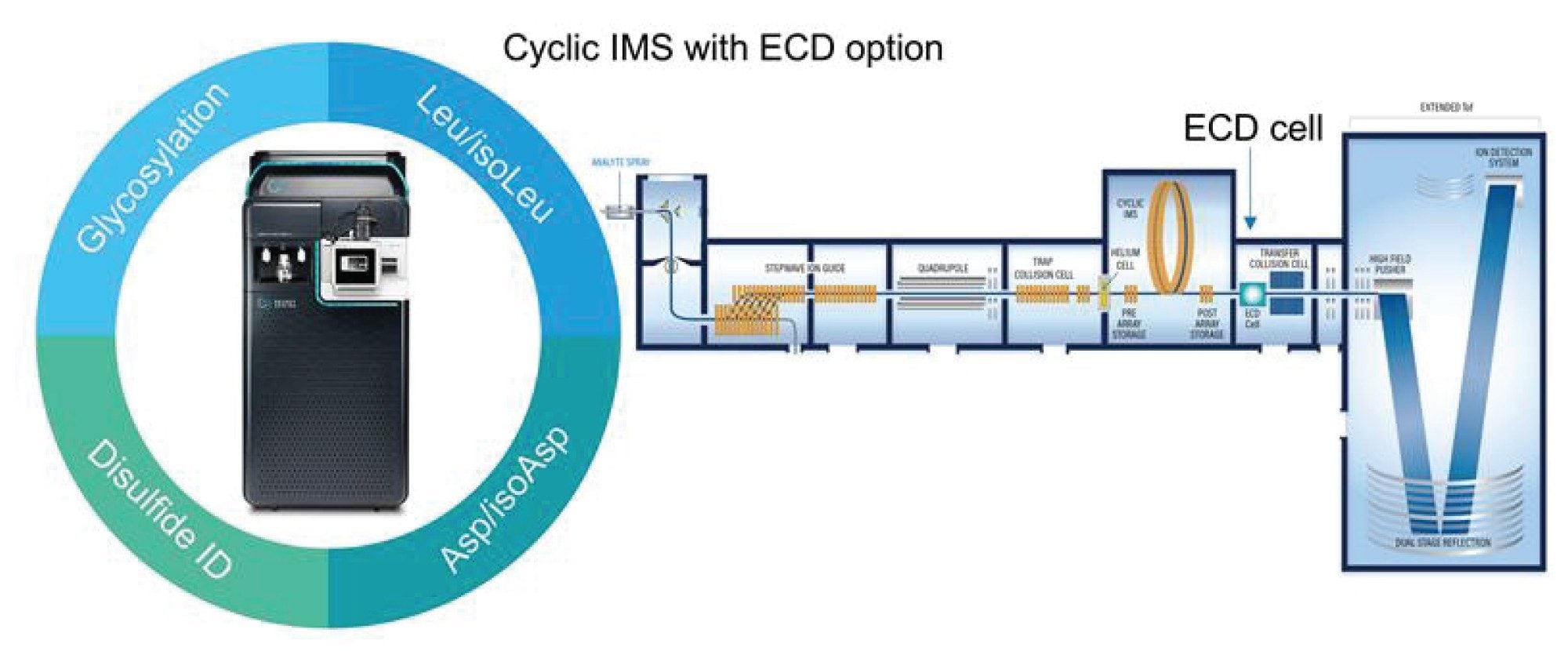 The ECD option on the SELECT SERIES Cyclic IMS enables enhanced biotherapeutic characterization