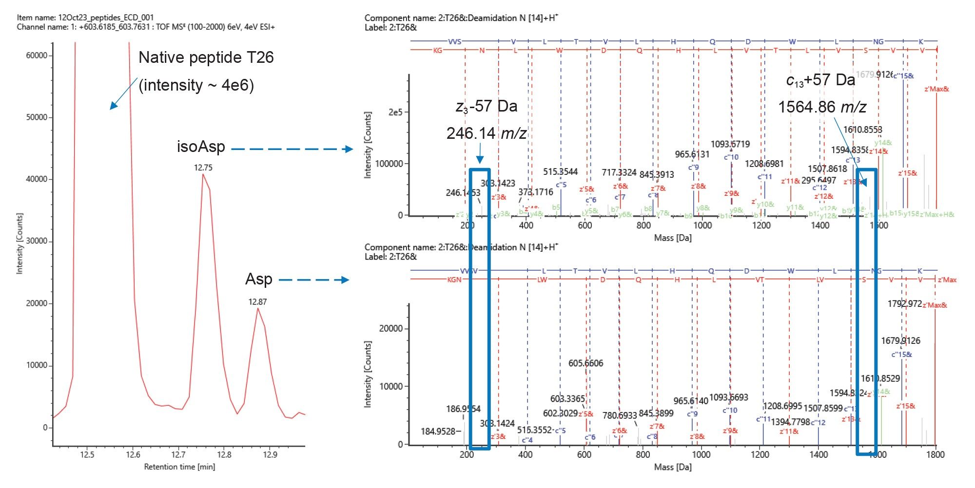 Distinguishing Asp and isoAsp deamidation products. Left - Extracted ion chromatogram