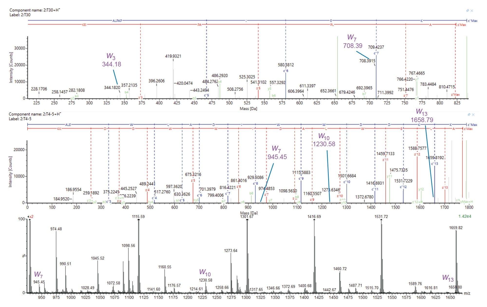 ECD is used to distinguish leucine and isoleucine amino acids. Top – Deconvolved ECD product ion spectrum of T30 from the NISTmAb heavy chain