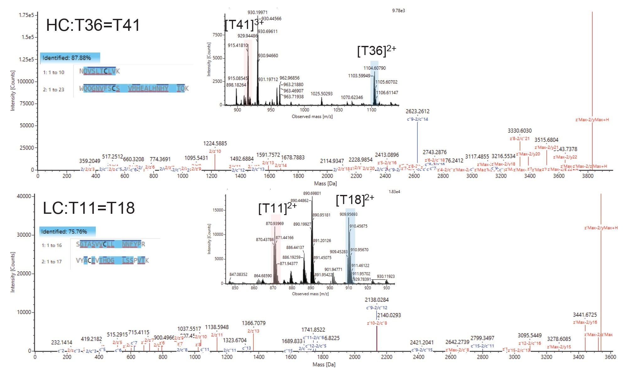 Disulfide characterization in biotherapeutics
