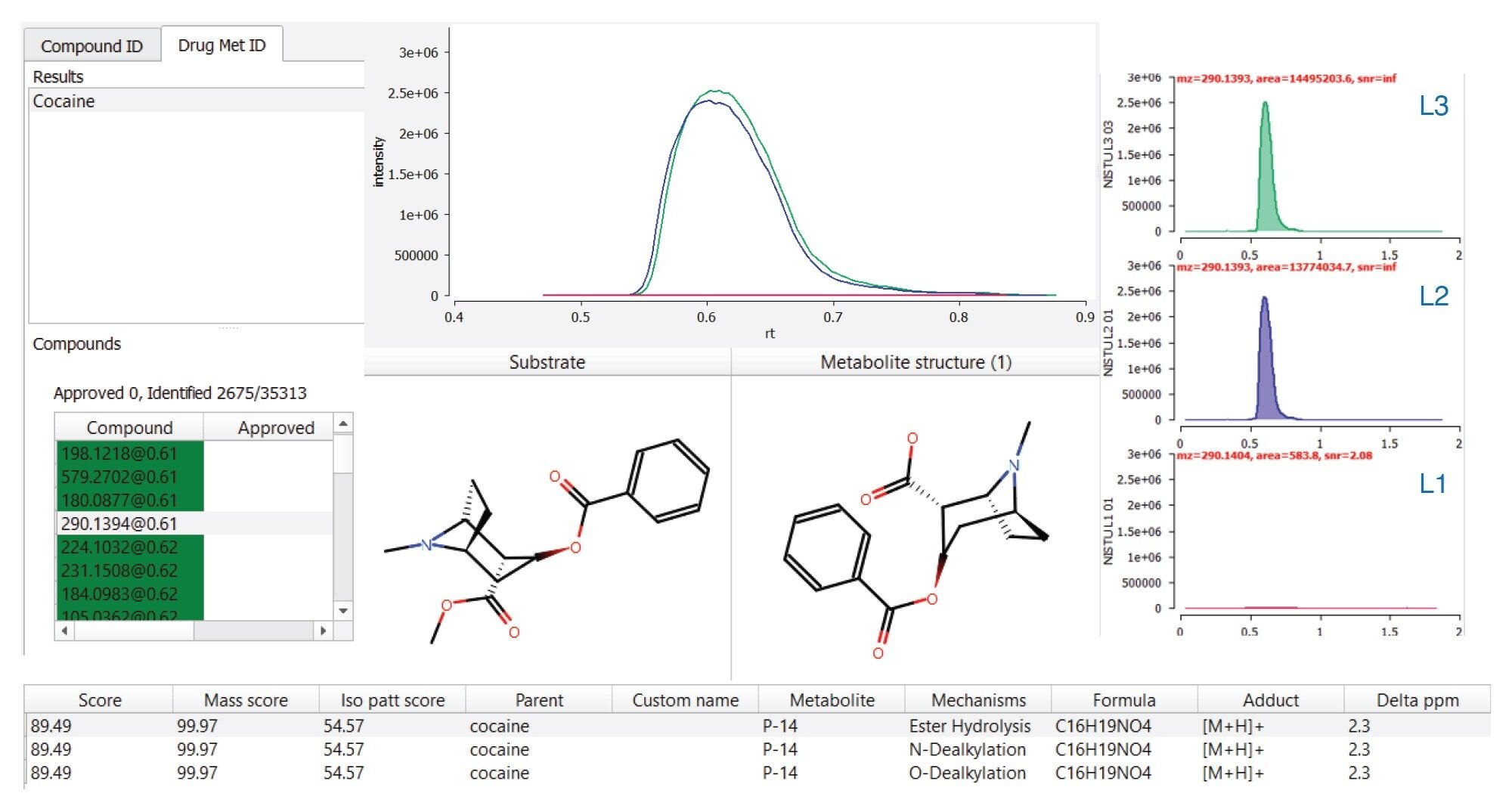 Benzoylecgonine metabolite was predicted from a cocaine SDF using drug metabolite identification functionality