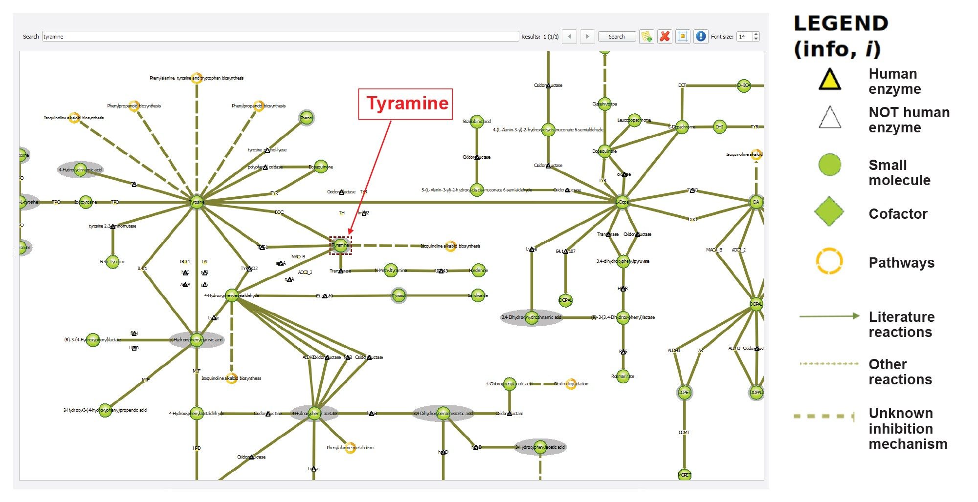 Portion of the metabolic pathway depicted in “Tyramine metabolism” map in MARS