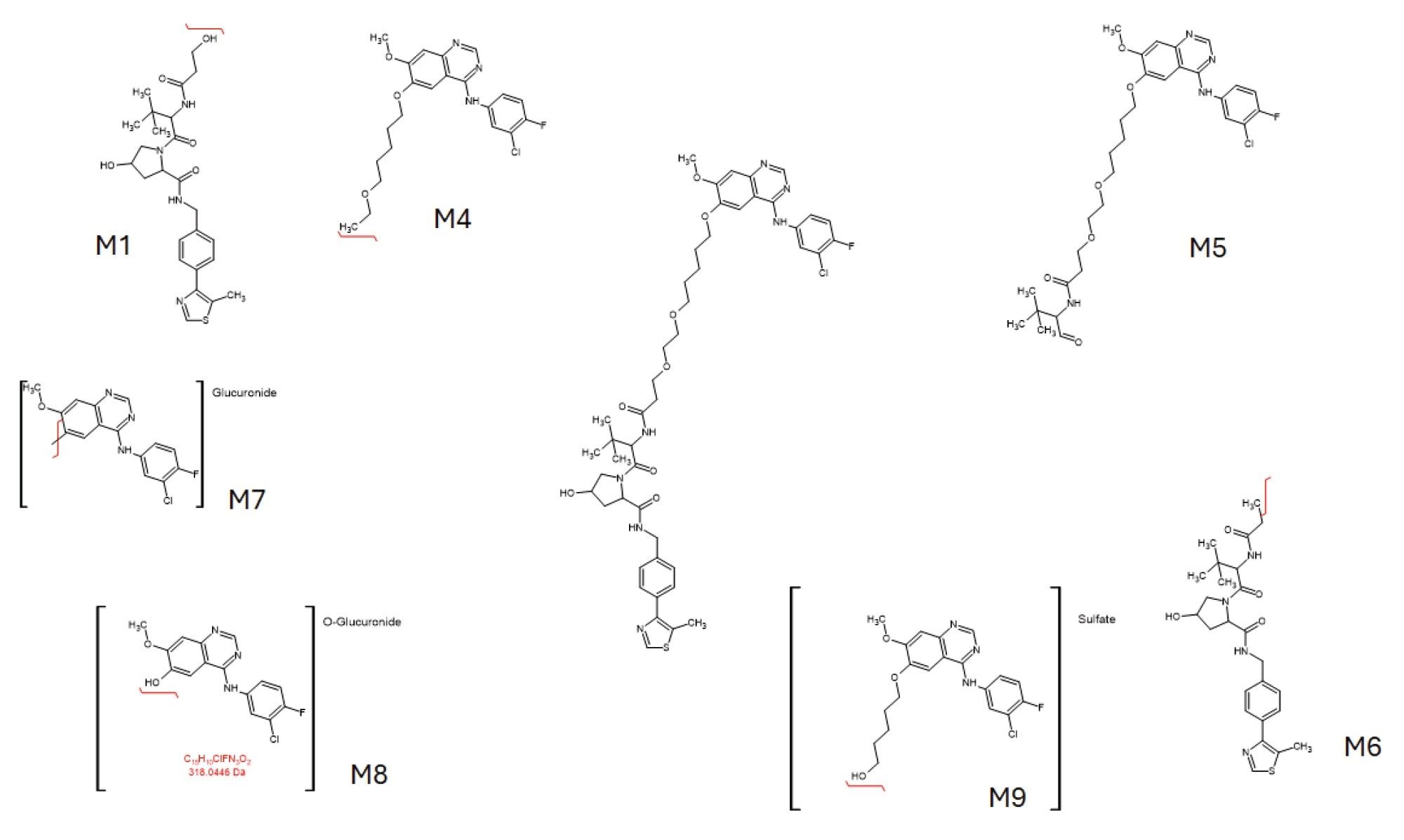 PROTACs-3-gefitinib and in vivo metabolites M1, M4, M5, M6, M7, M8, and M9