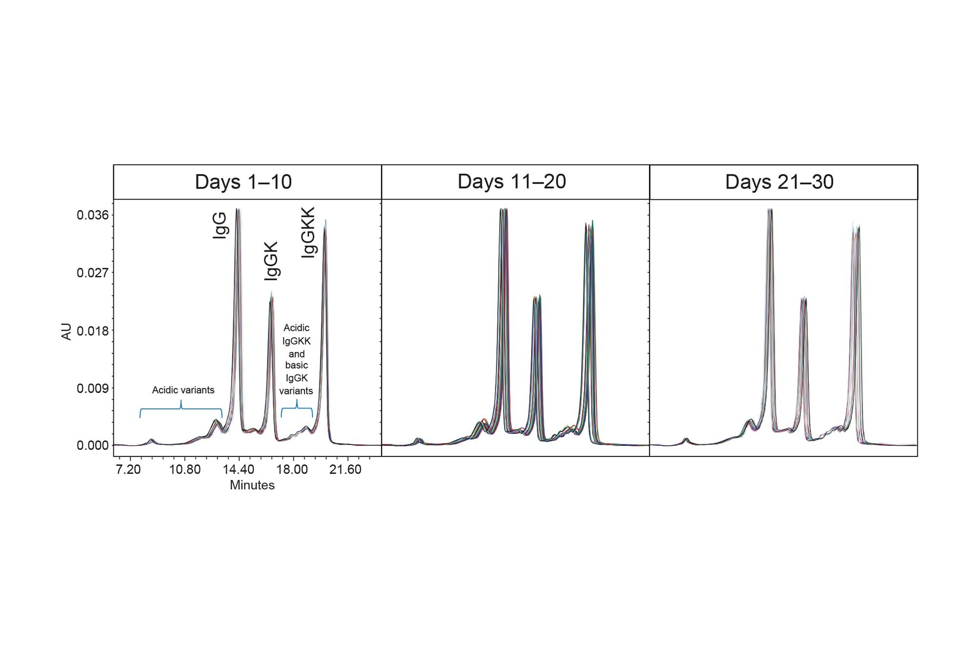Extended Analysis of mAbs Using IonExchange Chromatography on the
