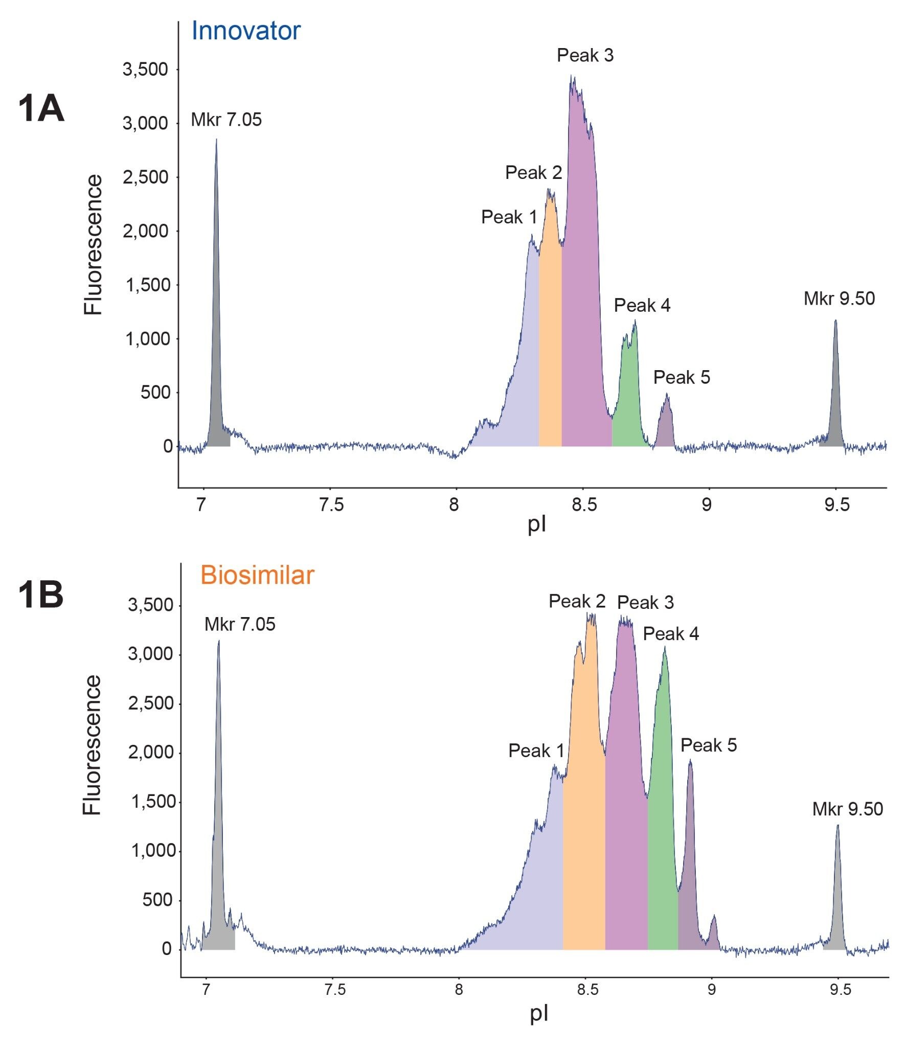 MauriceFlex enables icIEF-based charge separation