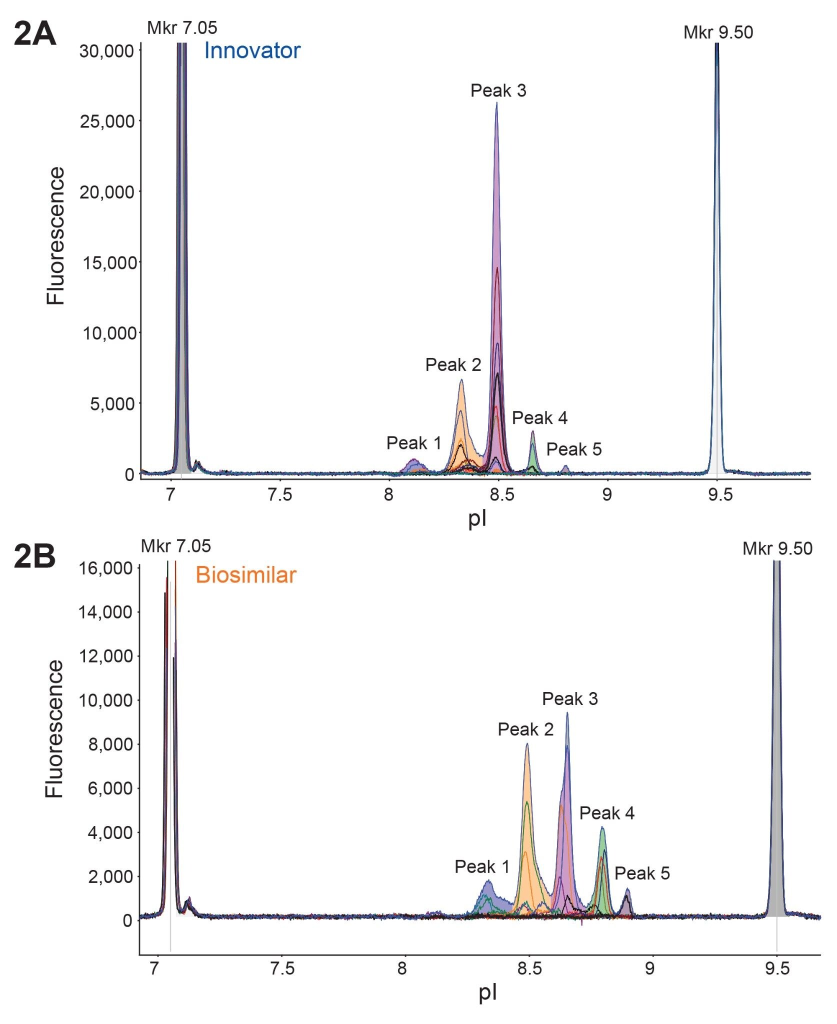 The MauriceFlex system fractionates both mAb samples, providing relevant charge variant fractions for further analysis