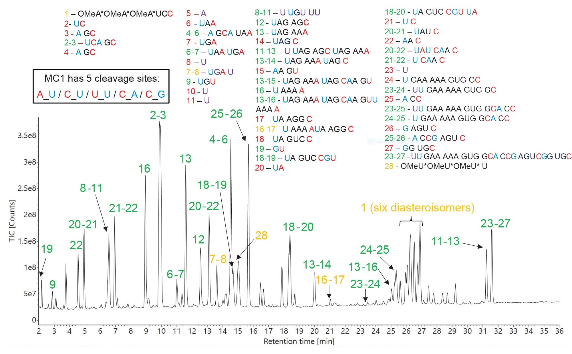 TIC chromatogram recorded for RapiZyme MC1 digestion of HPRT1 sgRNA