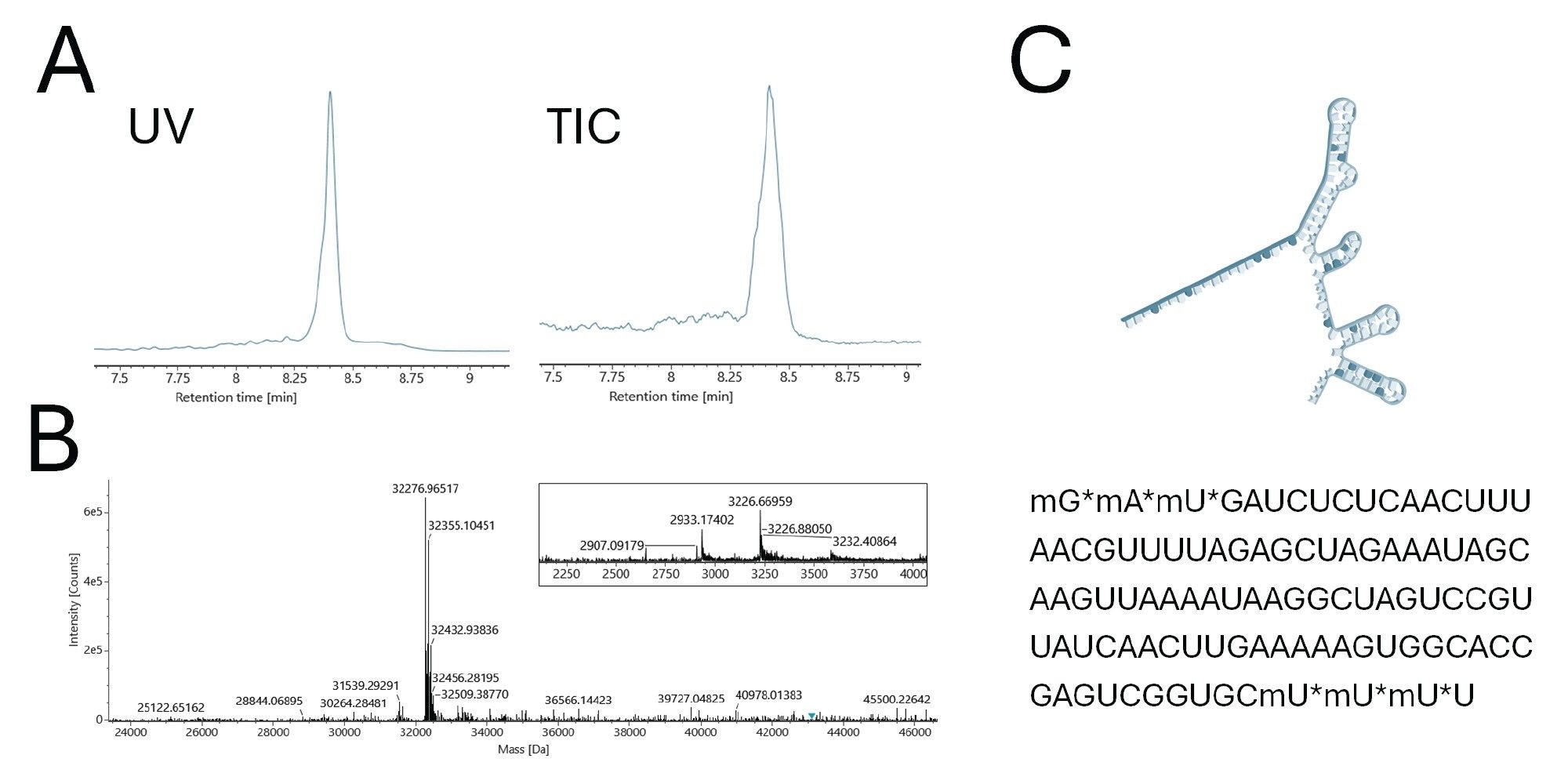 HILIC-UV-MS analysis of an intact single guide RNA (sgRNA)