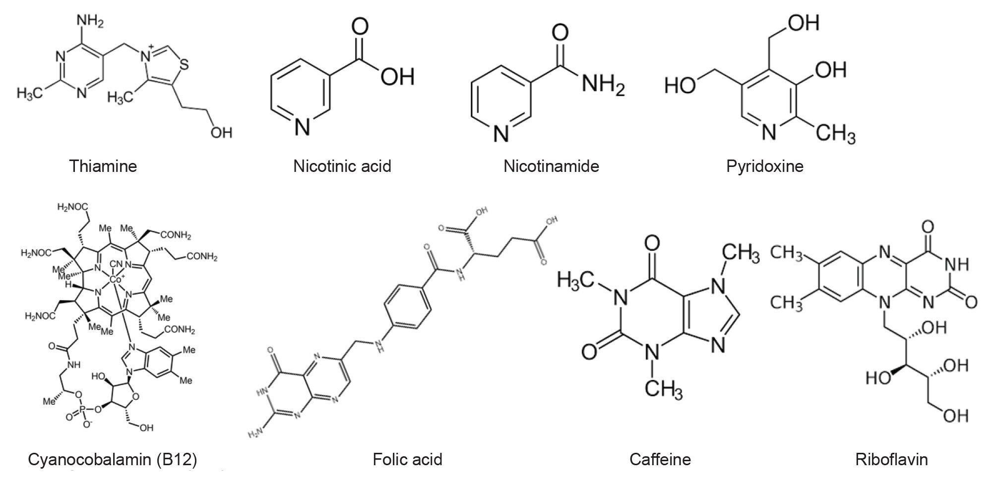 Chemical structures of water-soluble vitamins and caffeine