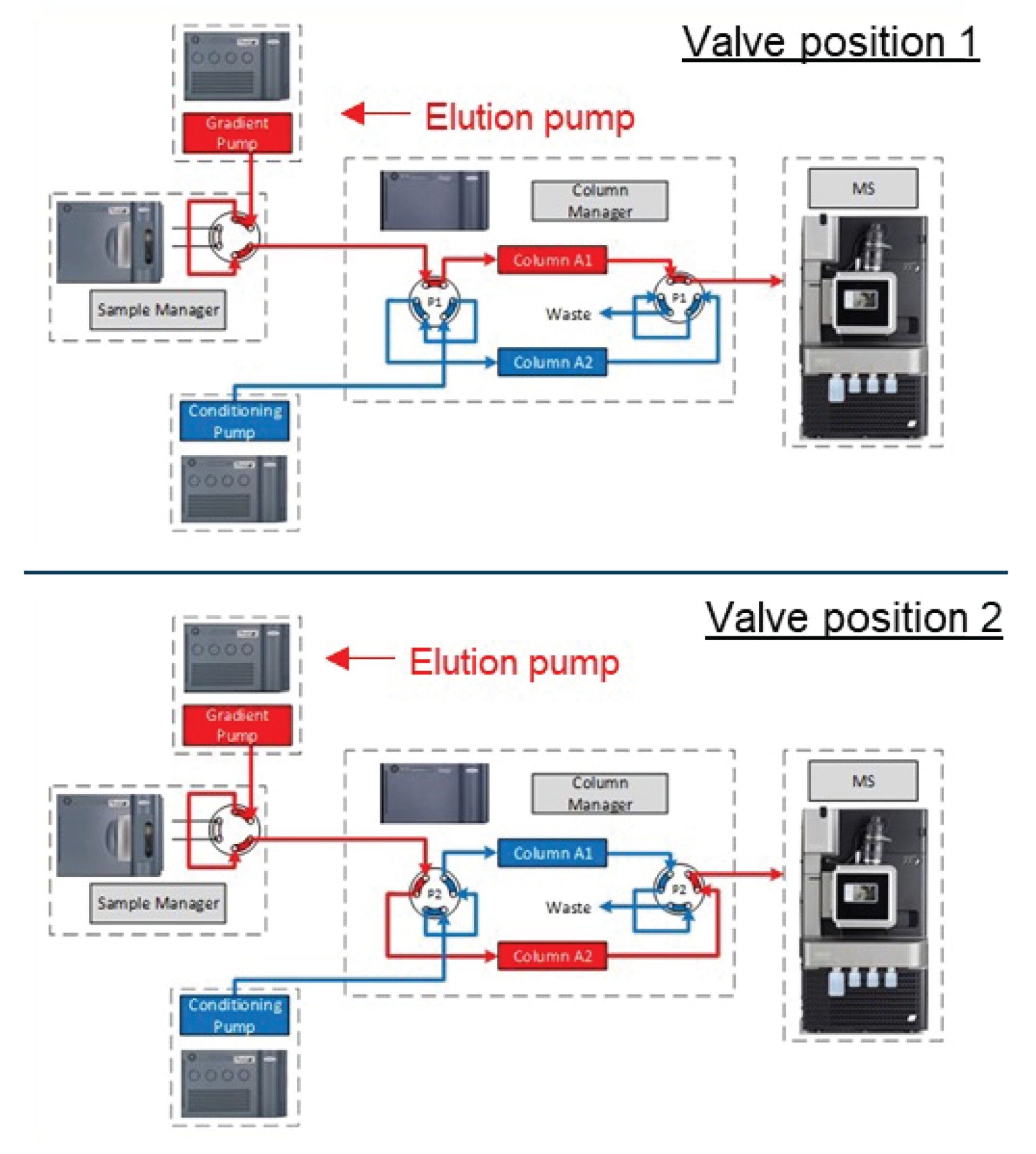 Parallel column regeneration connections allow gradient separation on the active column, while simultaneous regeneration occurs for the offline column