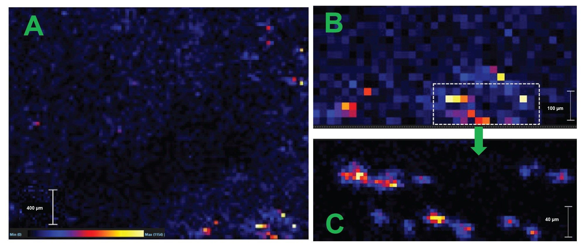 Zoom in of the 25 µm survey scan showing area of interest