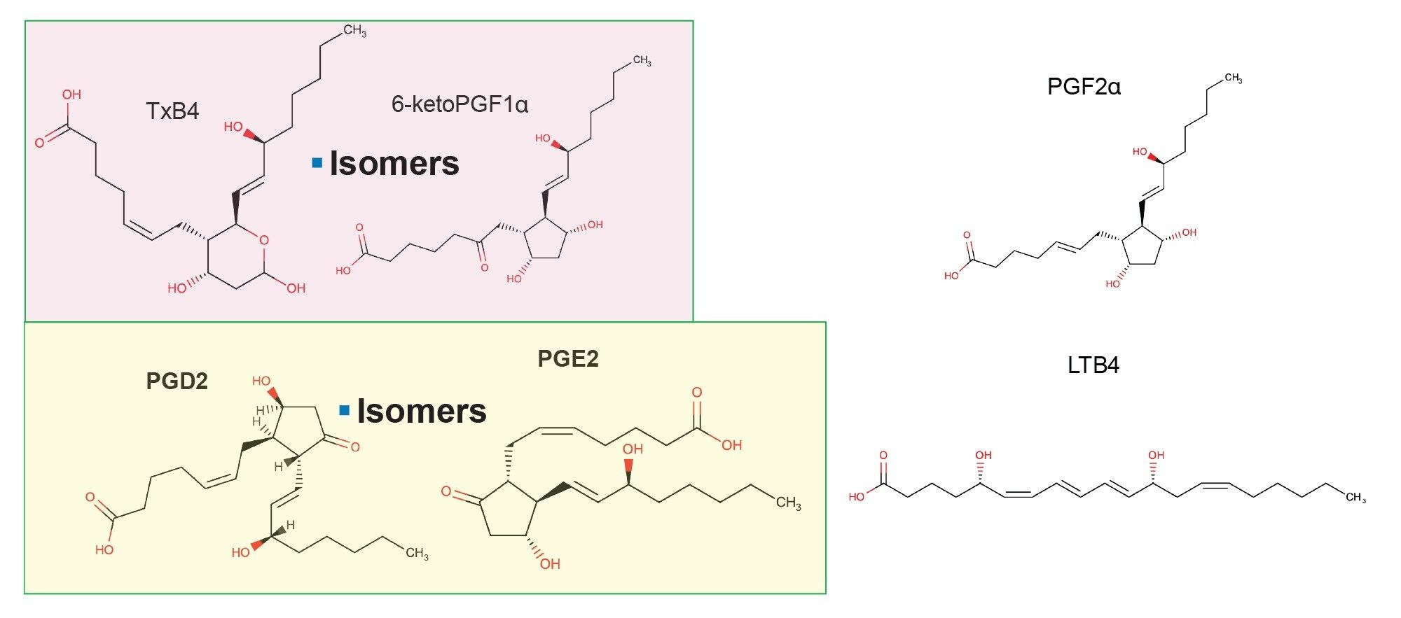 Representative structures of lipids