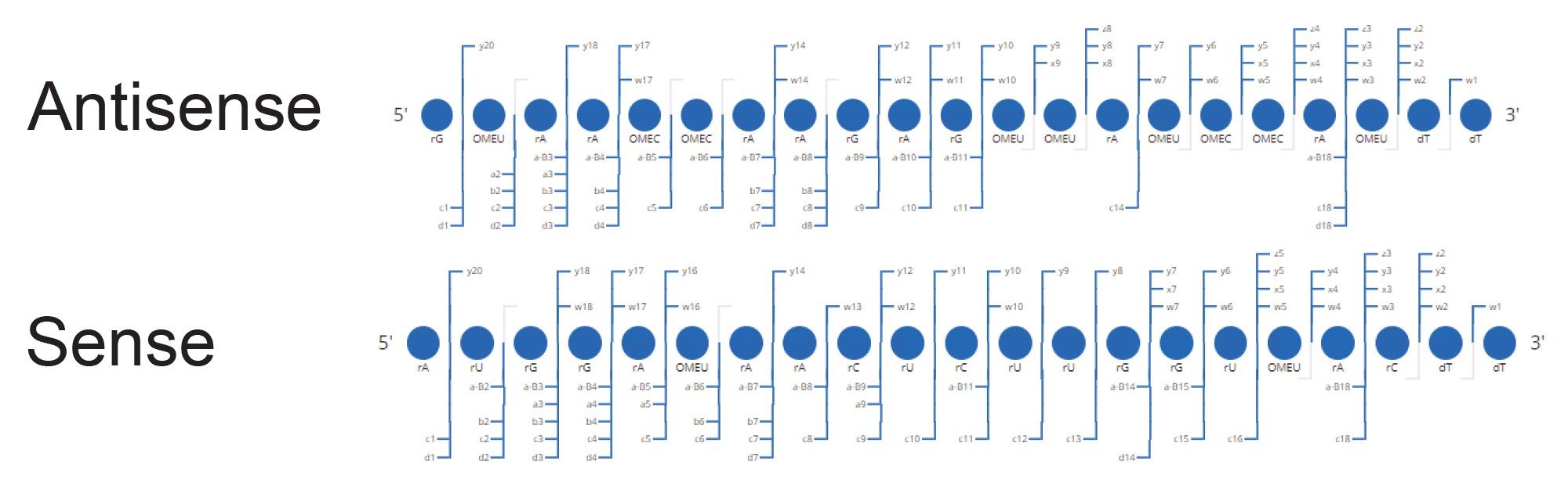 The CONFIRM Sequence App was used to process the elevated collision energy