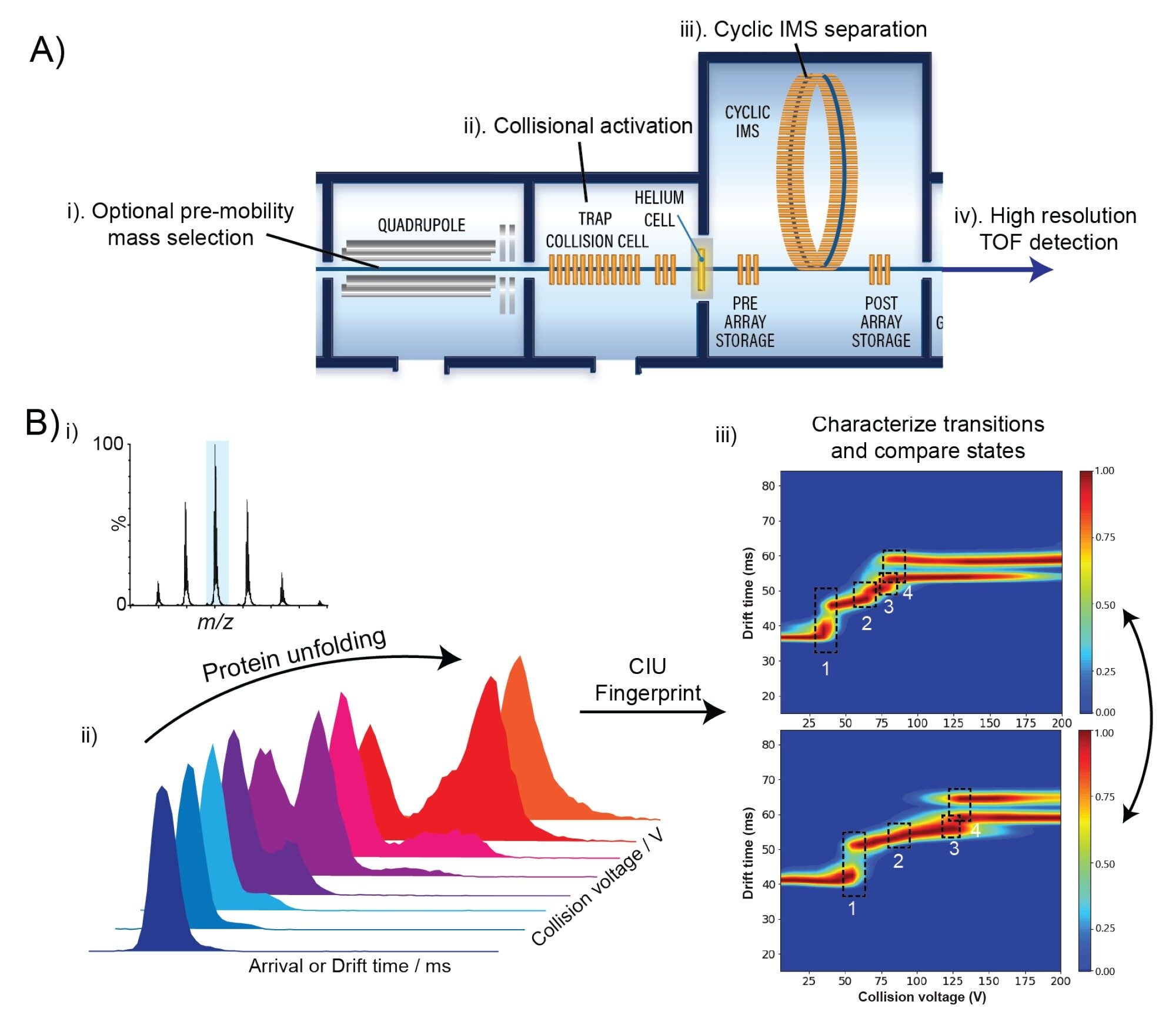 The collision-induced unfolding workflow on the SELECT SERIES Cyclic IMS instrument