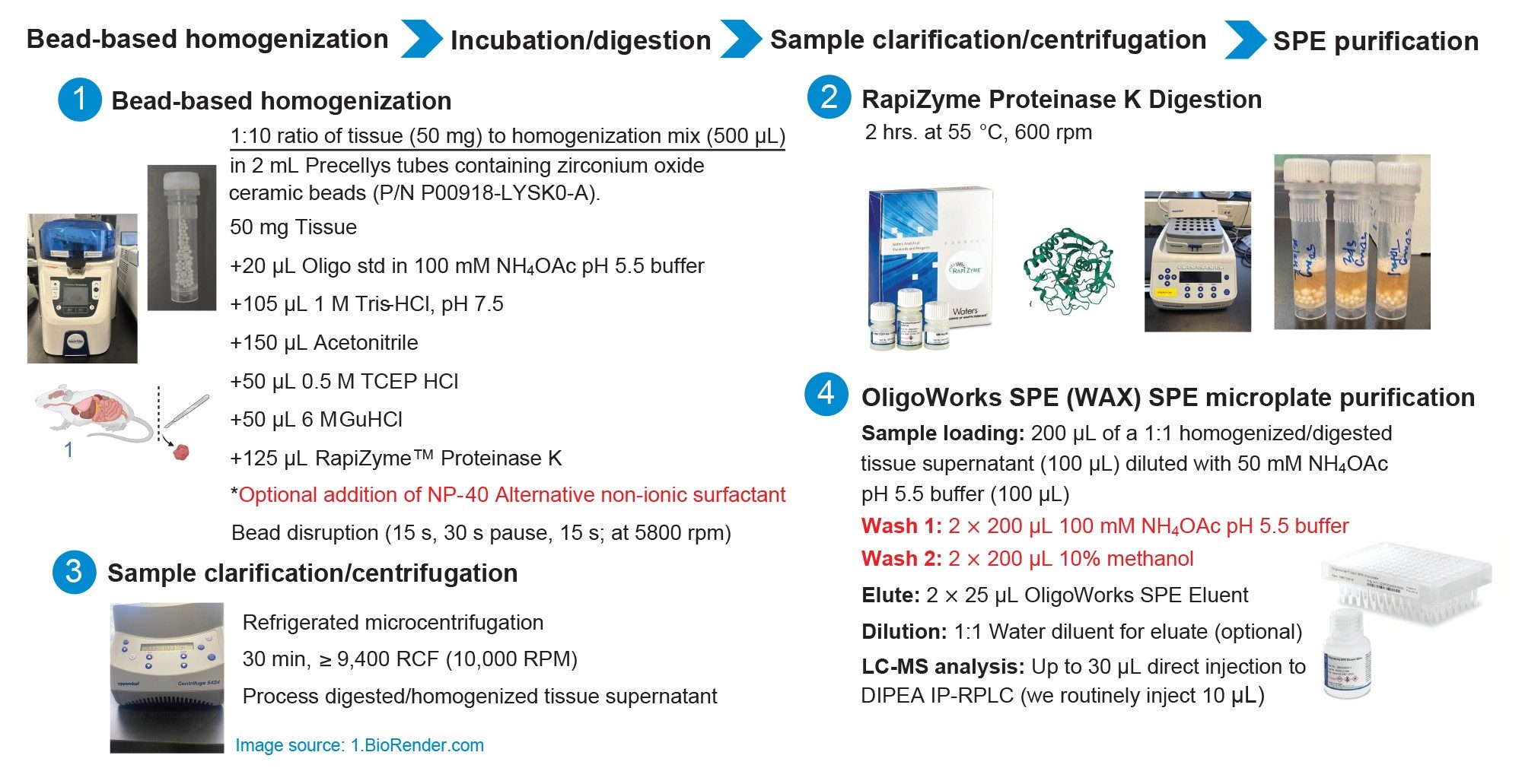 Oligonucleotide tissue extraction workflow and protocol