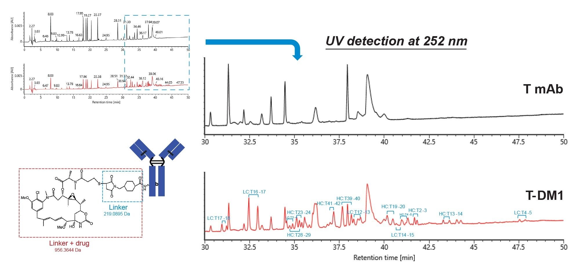UV (252 nm) chromatograms of approximately 10 µg