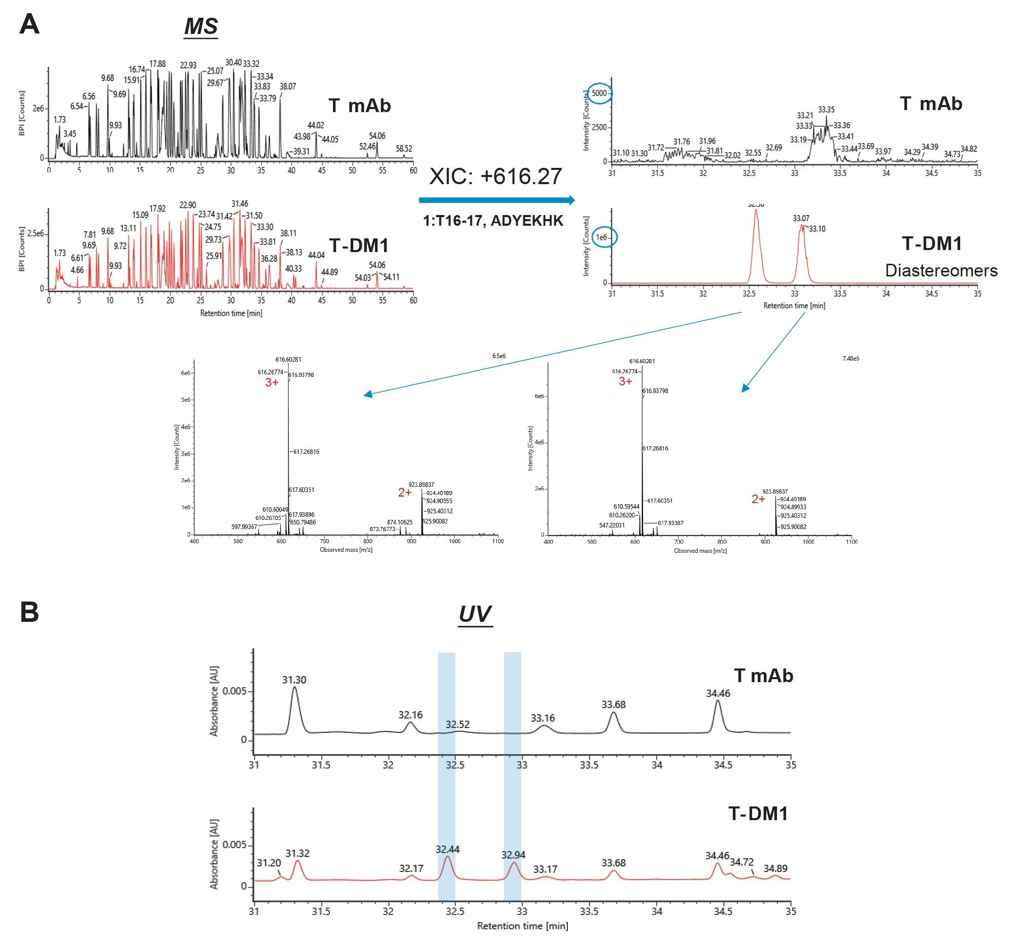 Base peak intensity (BPI) chromatograms of T mAb and T-DM1