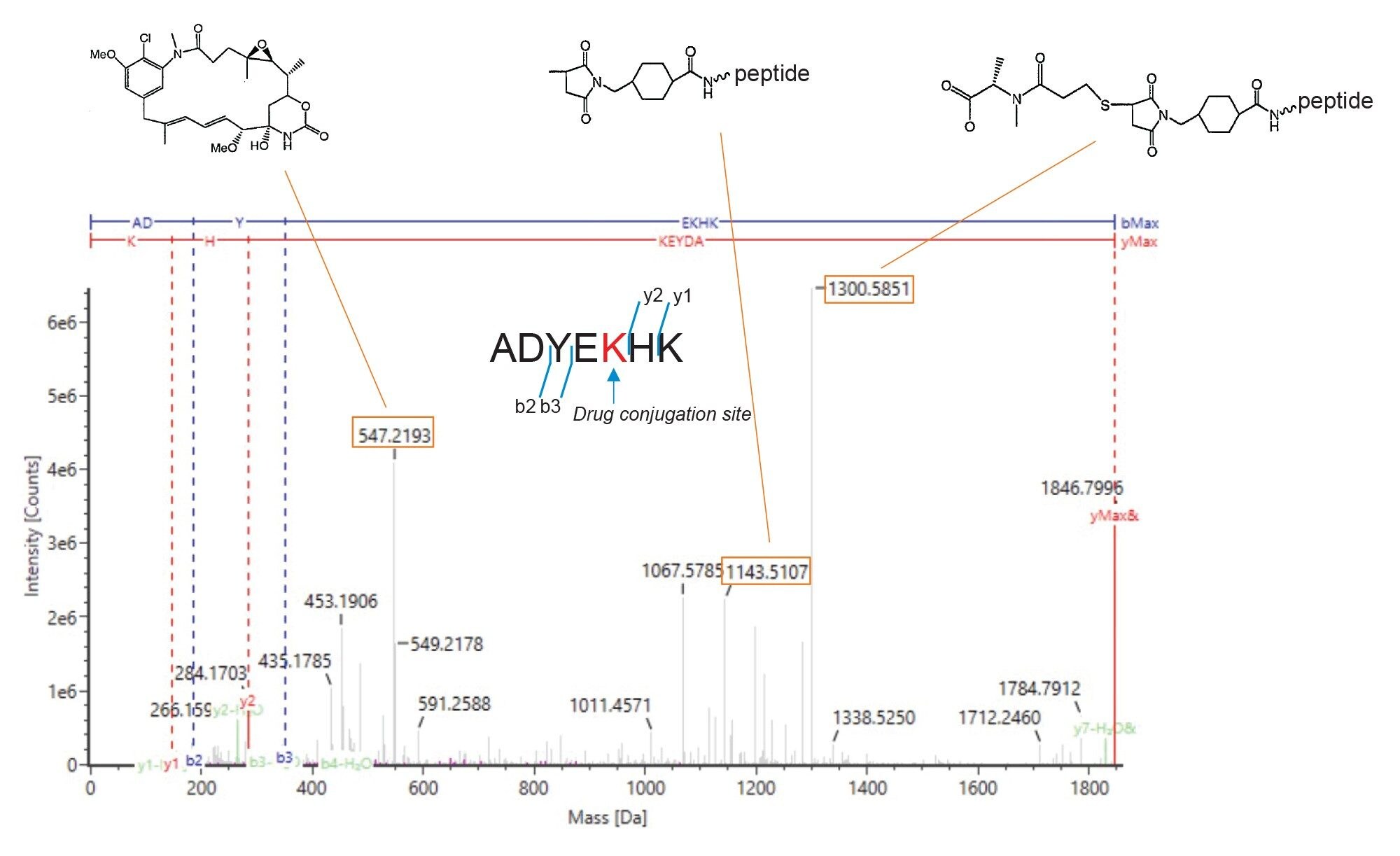MS/MS spectra of the drug-conjugated light chain T16–17 fragment