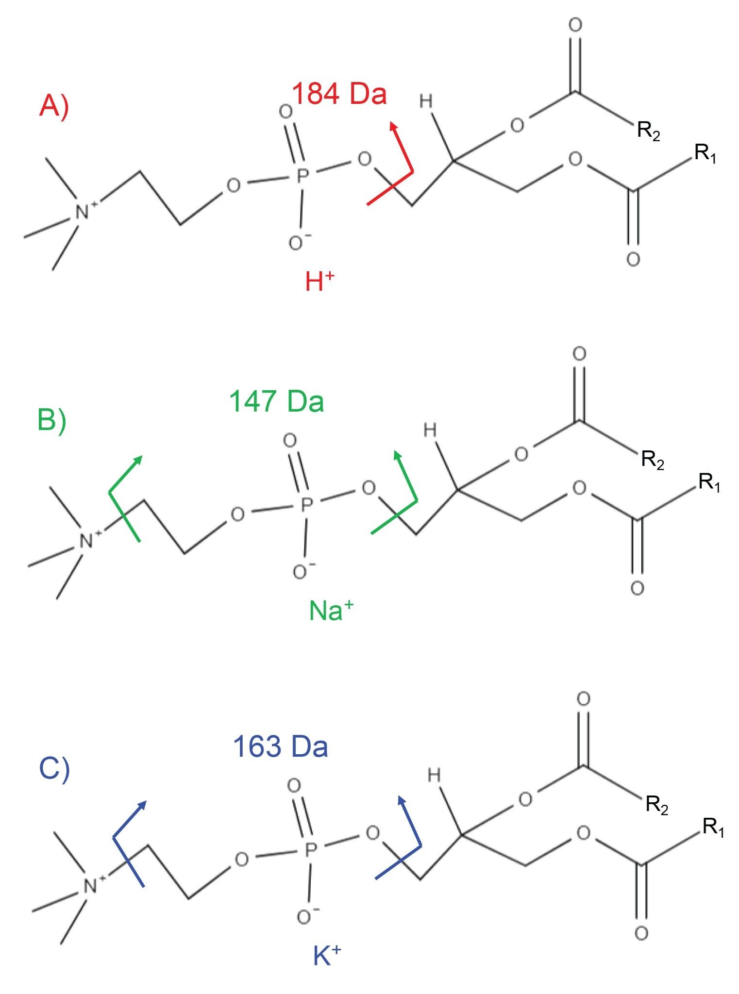 Fragmentation mechanisms of the headgroup of PCs with H+, Na+, and K+ cation