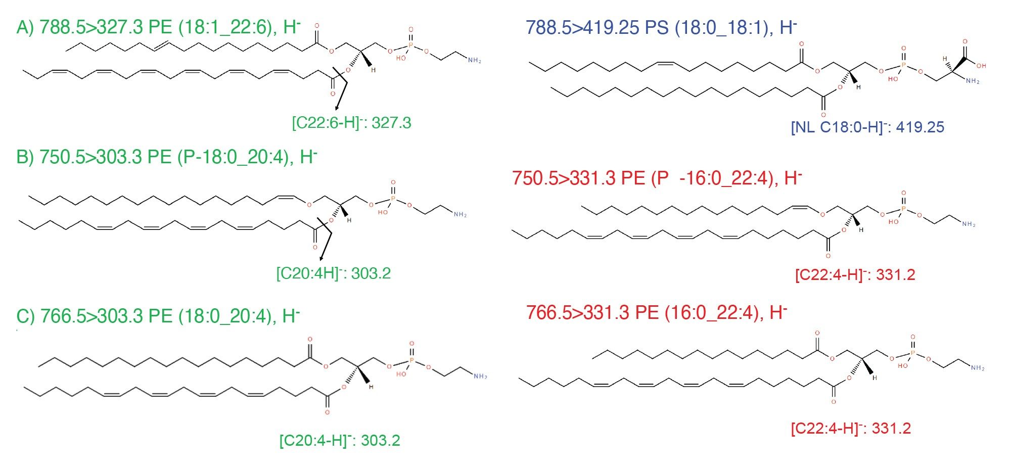 Fragmentation mechanisms of eight phospholipids in negative mode, generated fatty acid chain fragments