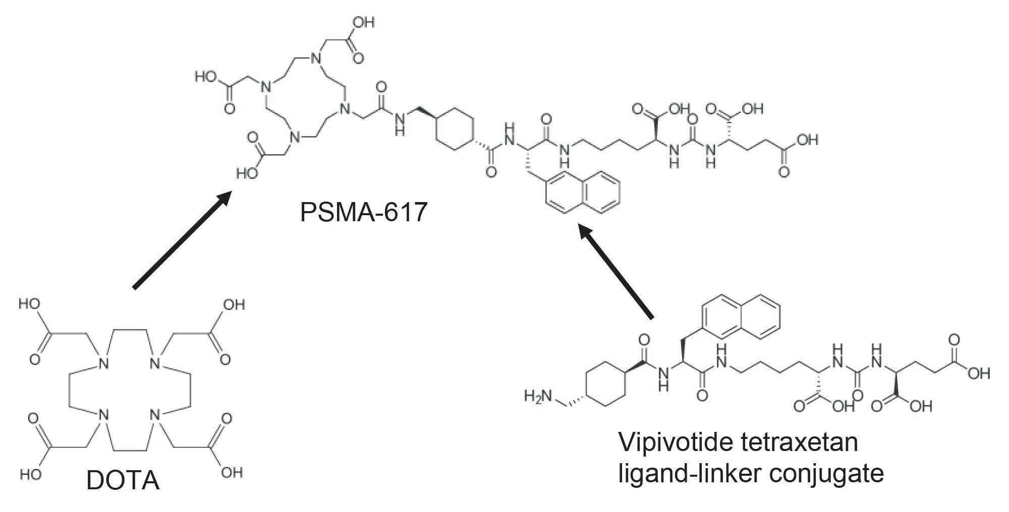 Chemical structures of PSMA-617 as well as the two major components of its synthesis