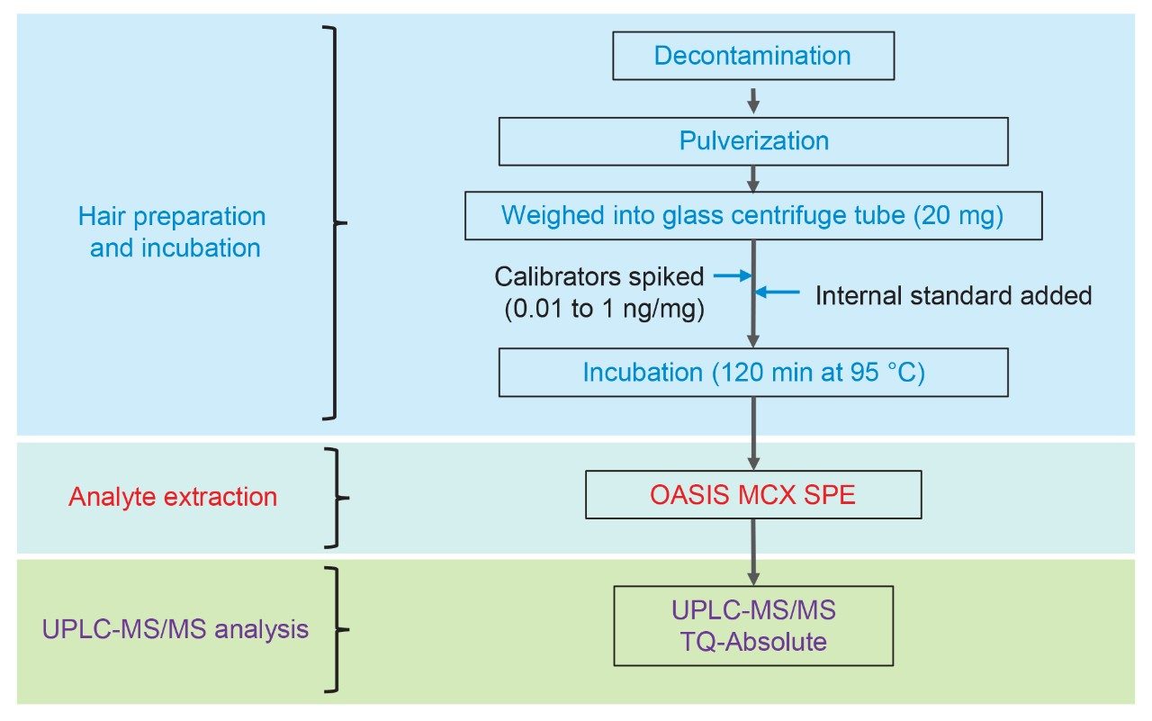 Workflow used for the extraction of drugs from Hair