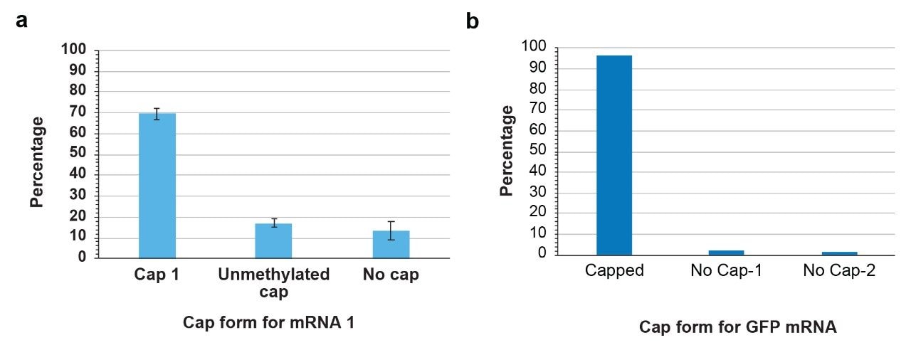 Capping efficiency and impurity profiles depend on the mRNA source