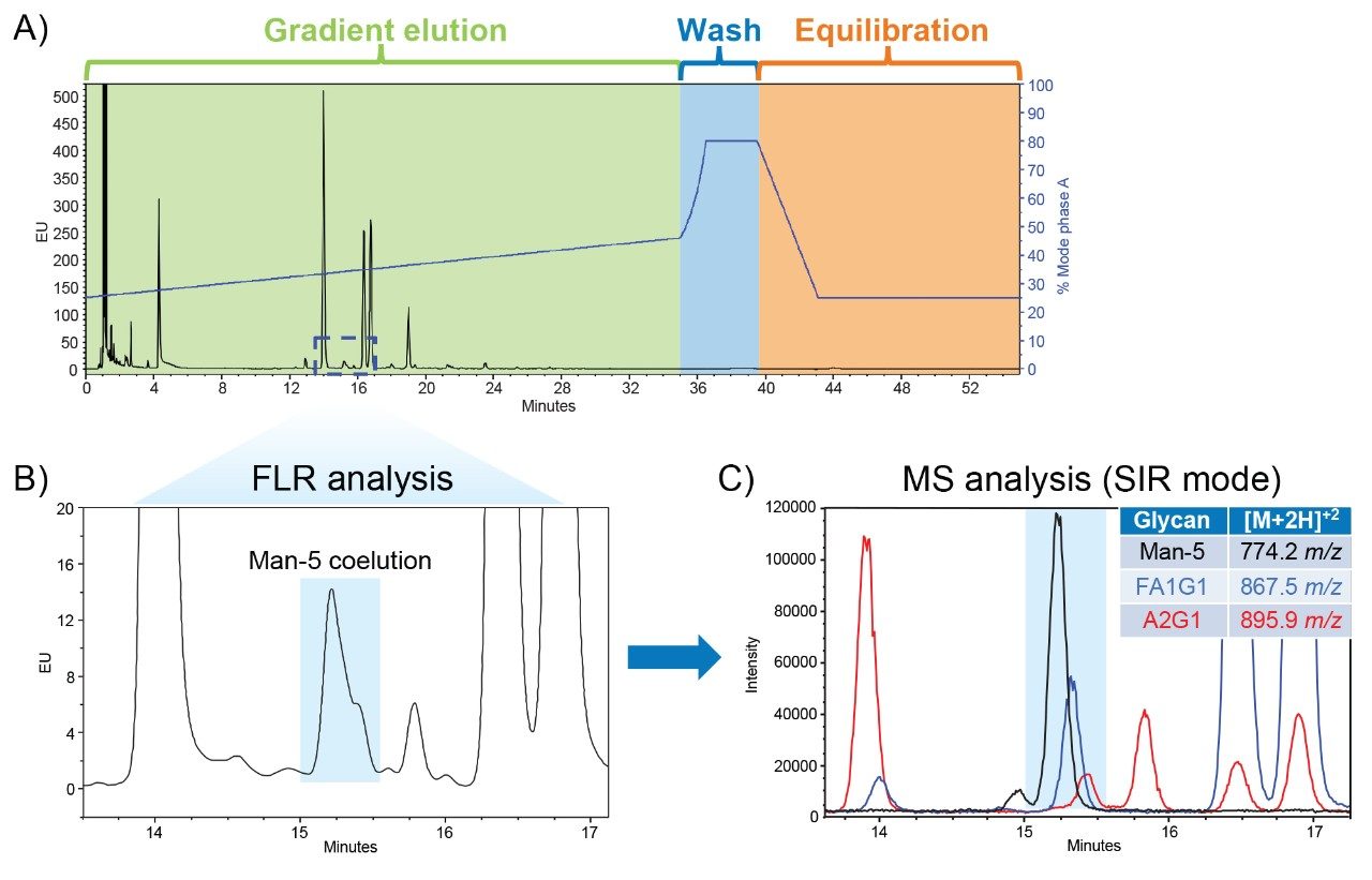 A universal N-glycan HILIC method with a 35-minute gradient, 4.5-minute column wash, and a 15.5-minute equilibration time