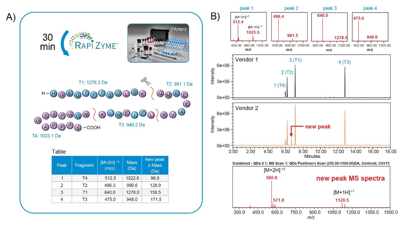 (A) Trypsin digestion of exenatide produced four unique peptide fragments