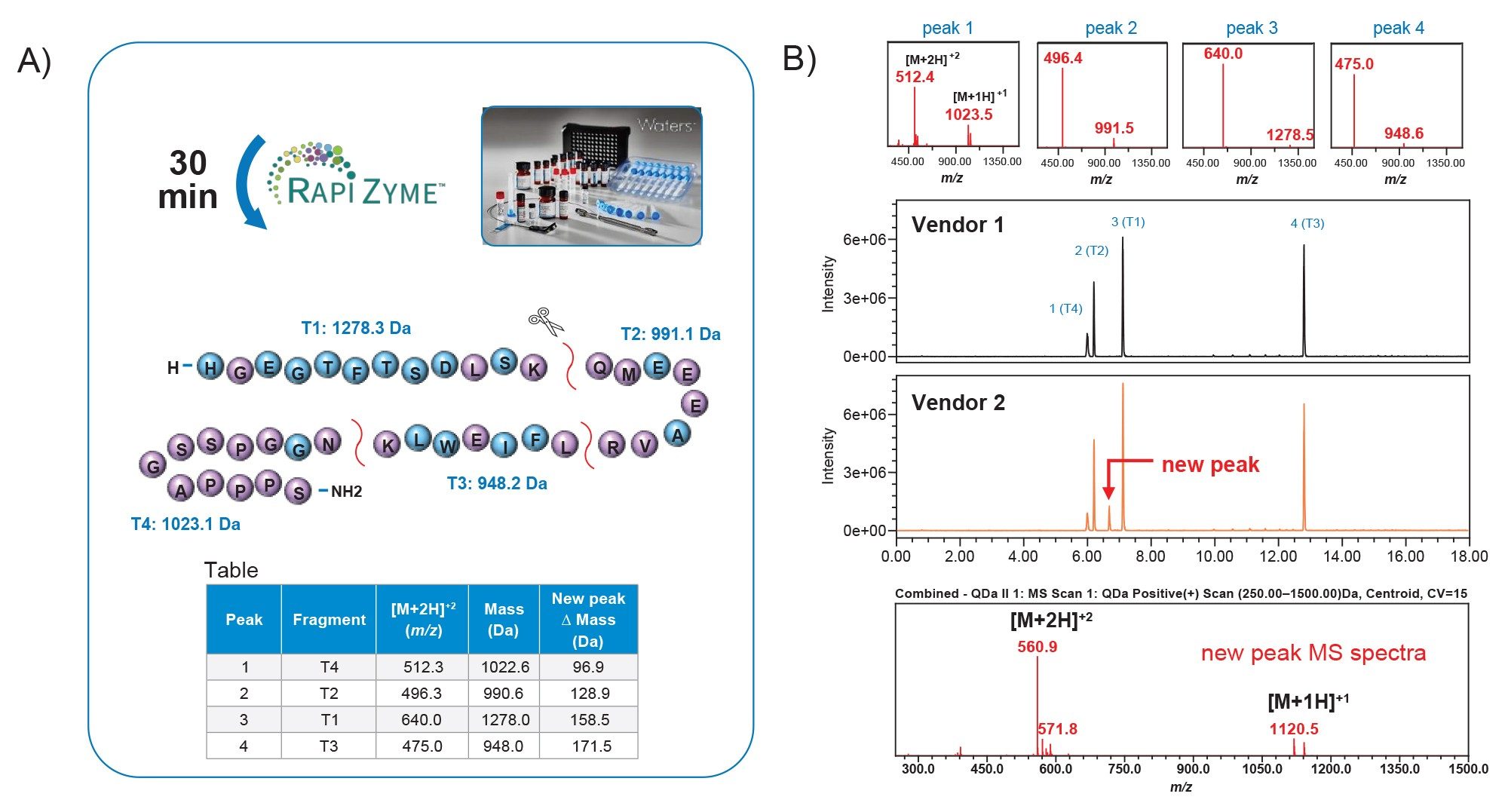 (A) Trypsin digestion of exenatide produced four unique peptide fragments