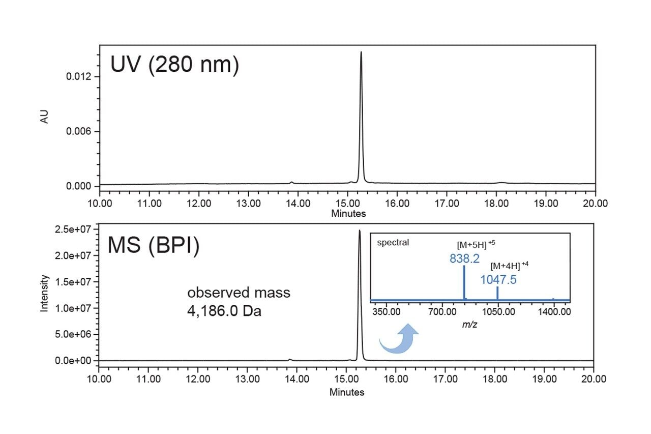 Identify impurities of GLP-1 RAs with LC-UV/MS. Example analysis of Exenatide shown with high purity and MS spectra of the main species peak. 